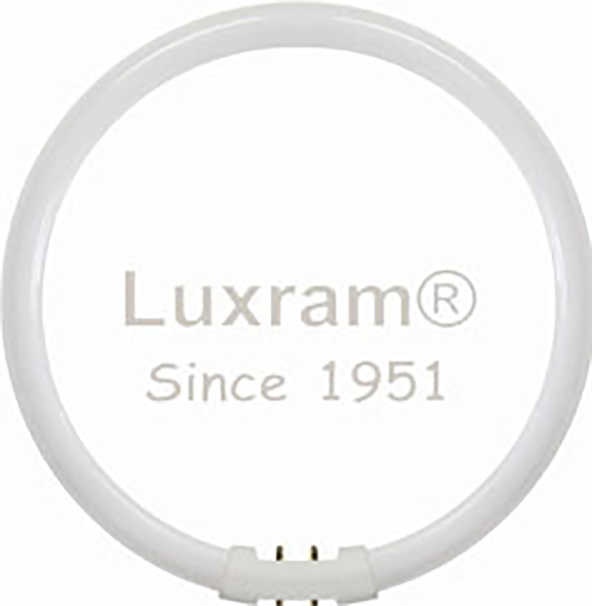 T5 Circular Fluorescent Tubes Luxram Circular T5 Circular Fluorescent Tubes Luxram Circular